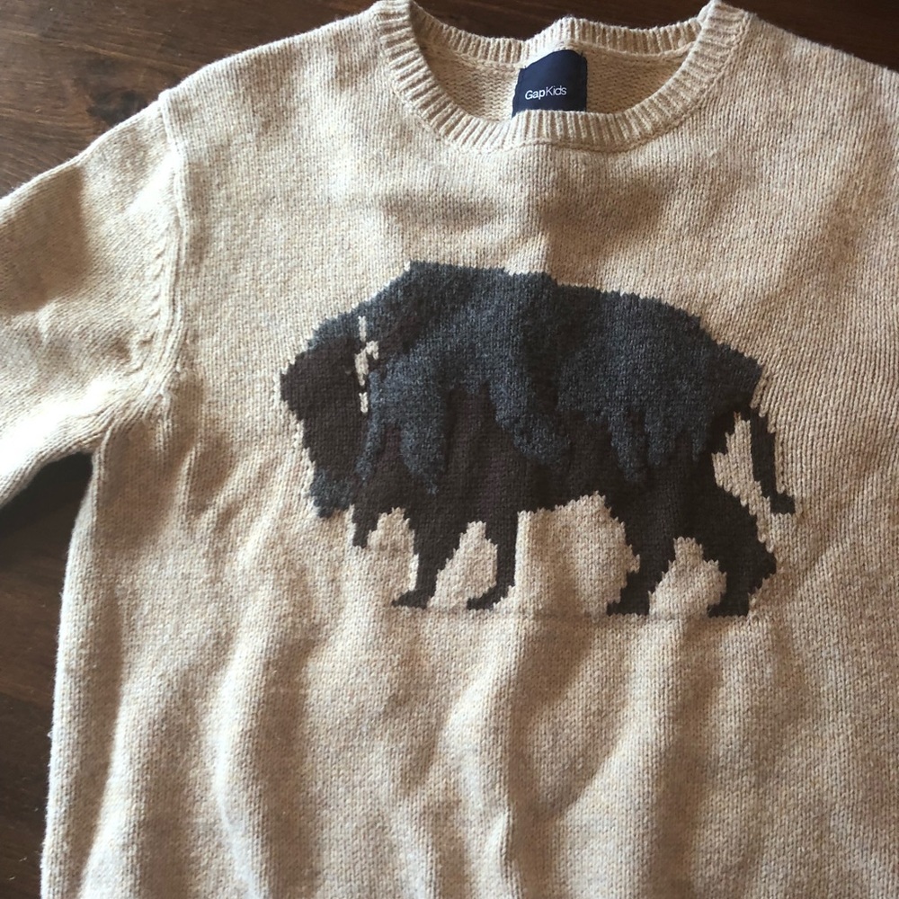 Gap boys large sweater